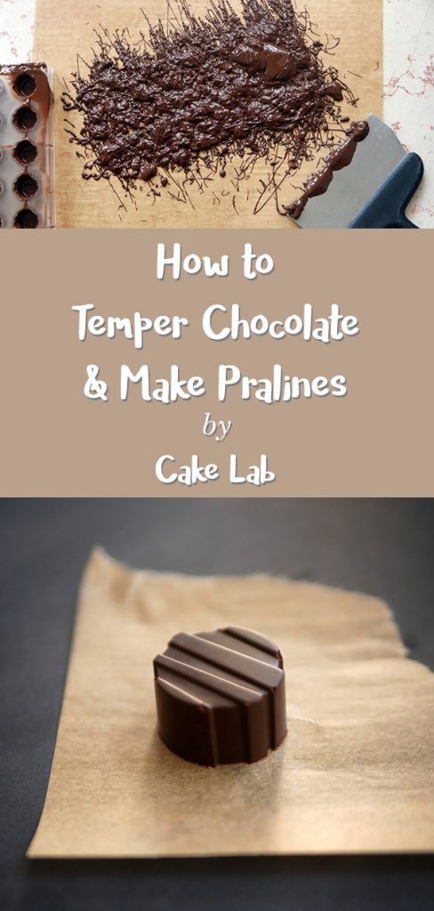 How to Temper Chocolate & Make Pralines