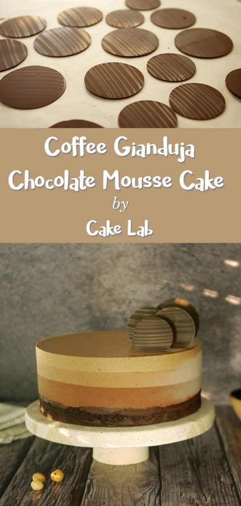 Coffee Gianduja Chocolate Mousse Cake
