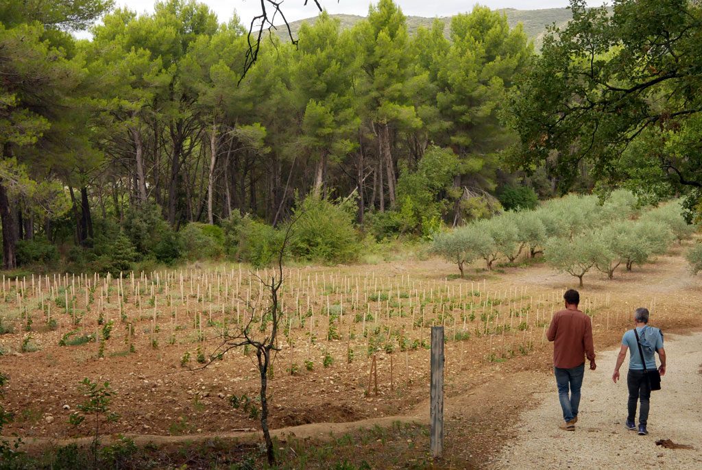 Yuval and Daniel in Lauris, in search for madeleines