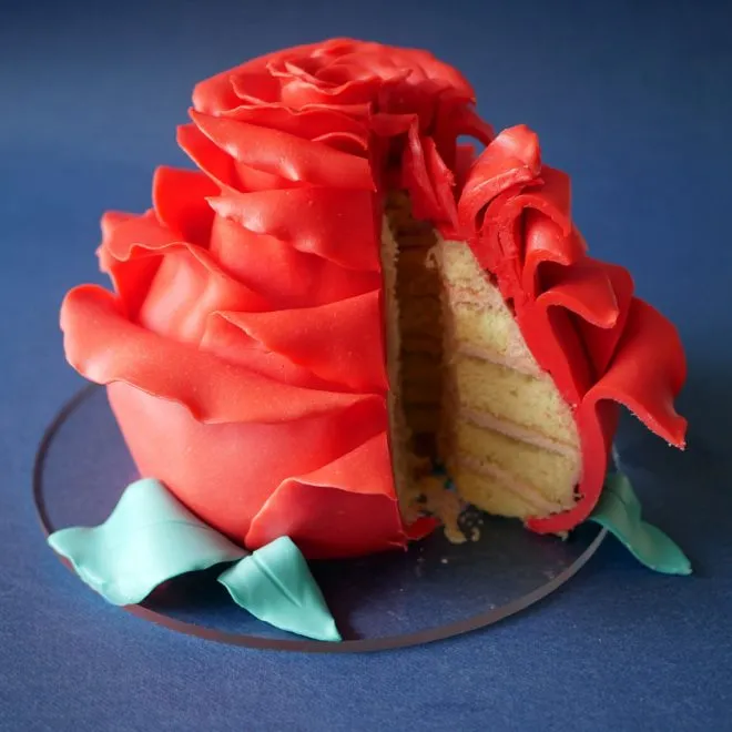 A slice from a rose